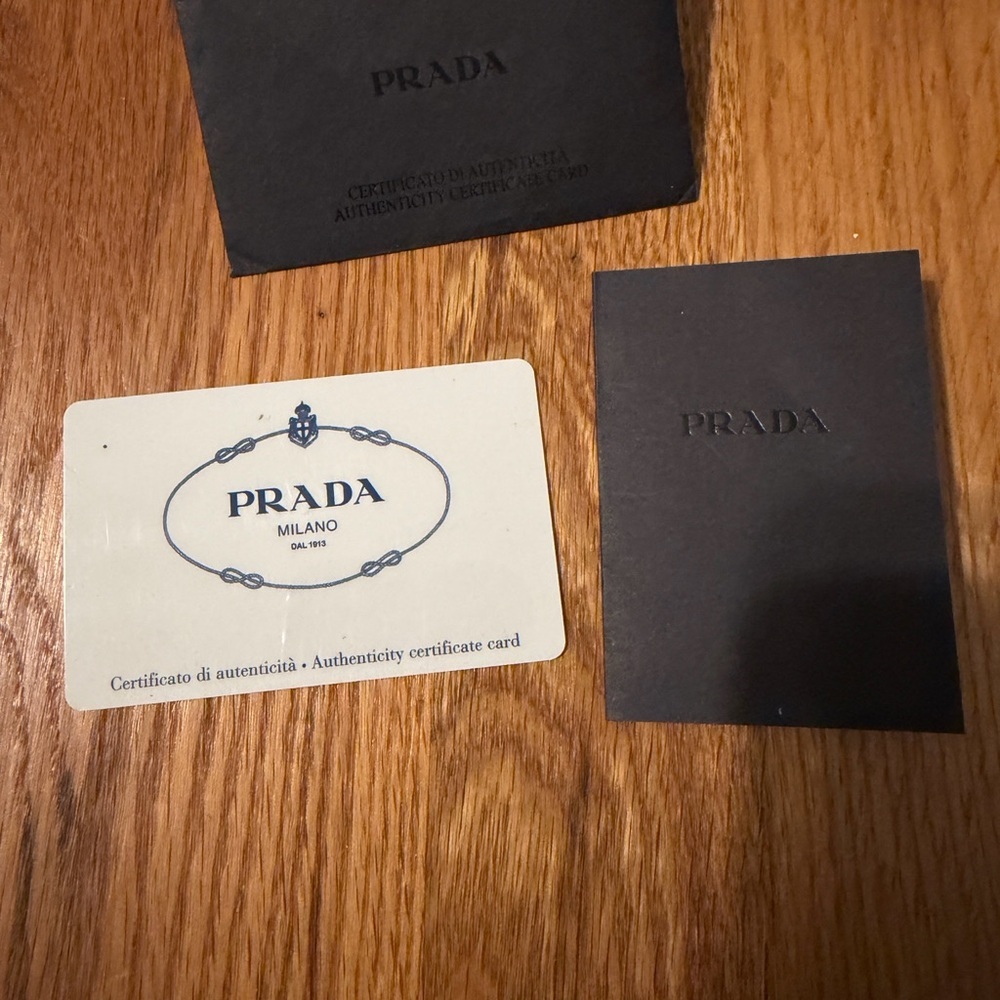 NWT Prada Soft Calf Impunture Diagramme camera bag - Picture 8 of 9